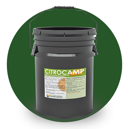 Citrocamp 20kg