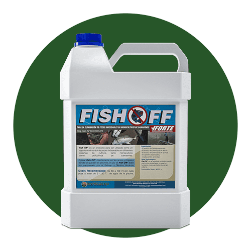 Fish Off Forte