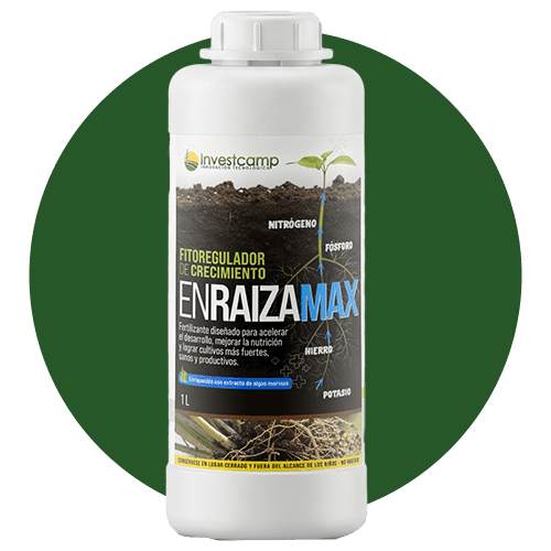 Enraizamax