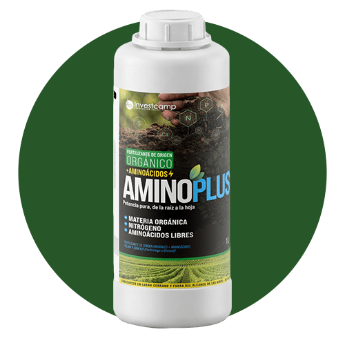 Aminoplus